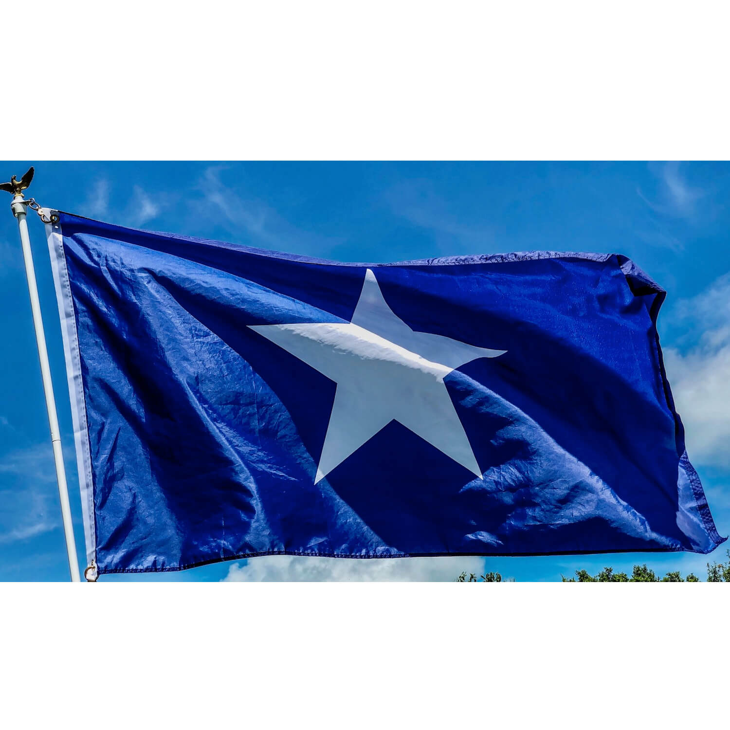 bonnie blue flag