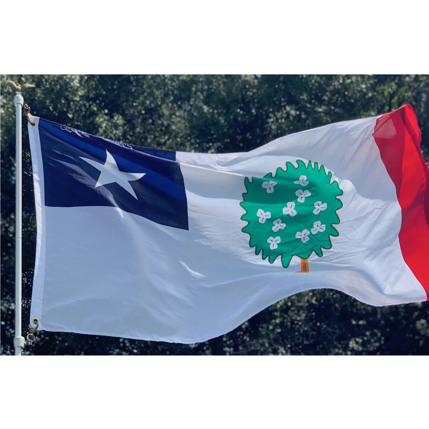 Confederate Mississippi Republic Flag 3 X 5 ft. Standard - Image 2