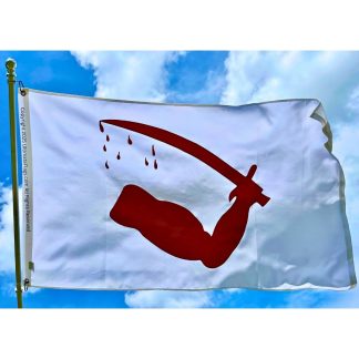 goliad battle flags dimmitt's goliad texas flag severed arm sewn outdoor double nylon embroidered 3 x 5 ft.