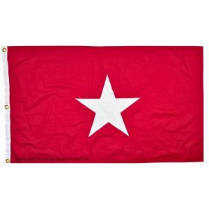 jane long flag 3 x 5 ft. sewn cotton flag
