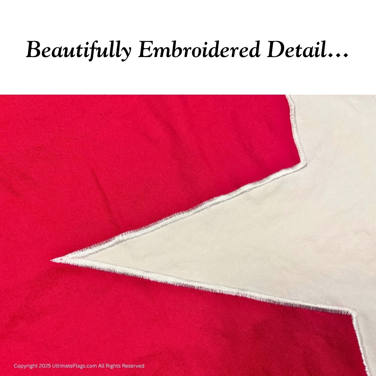 jane long flag 3 x 5 ft. sewn cotton flag