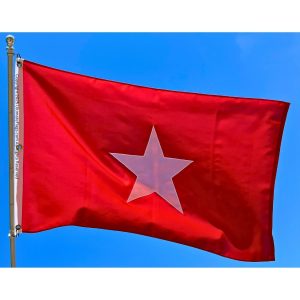 jane long flag mother of texas flags lonestar 3 x 5 ft. sewn outdoor double nylon embroidered