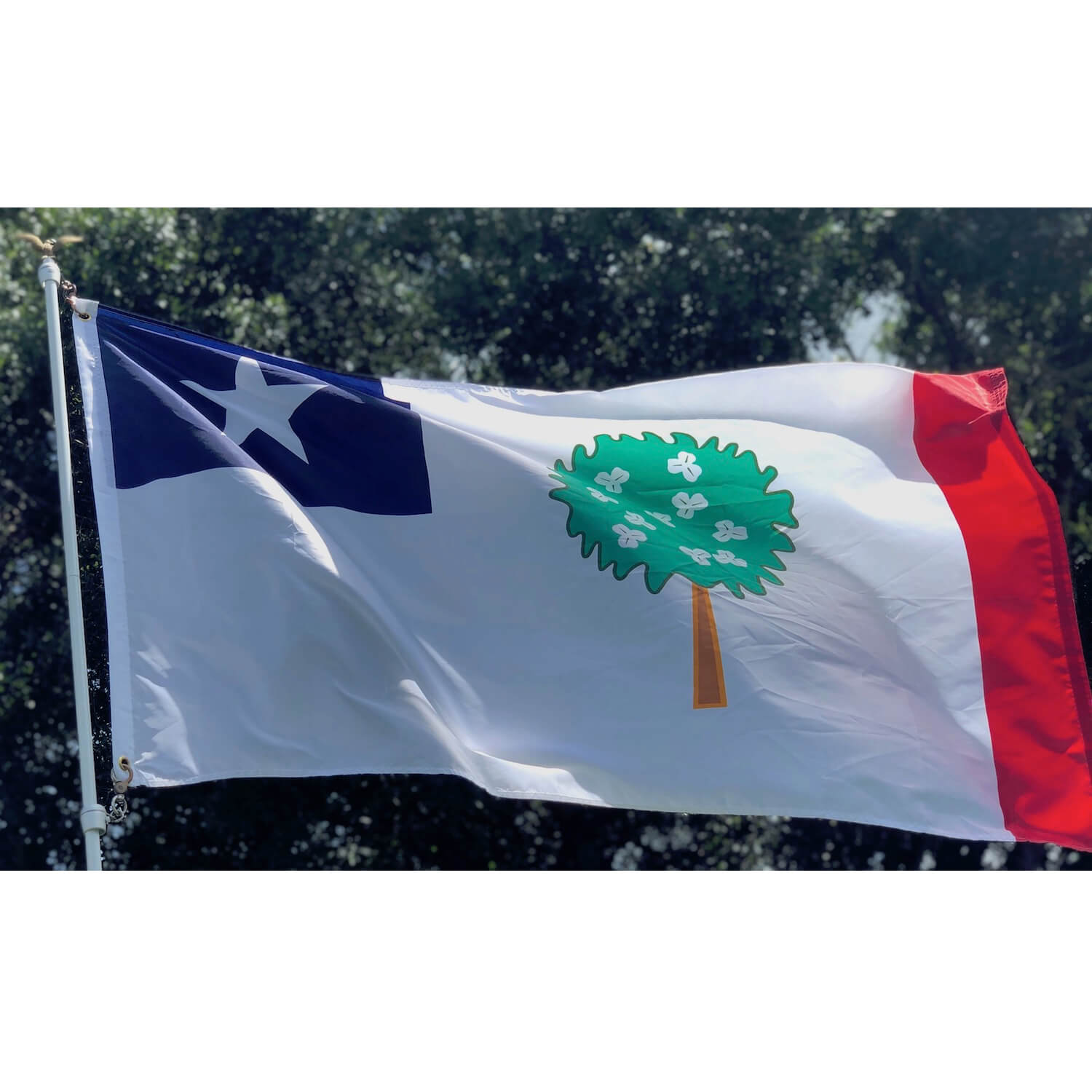 mississippi republic flag flying outdoor flags for sale