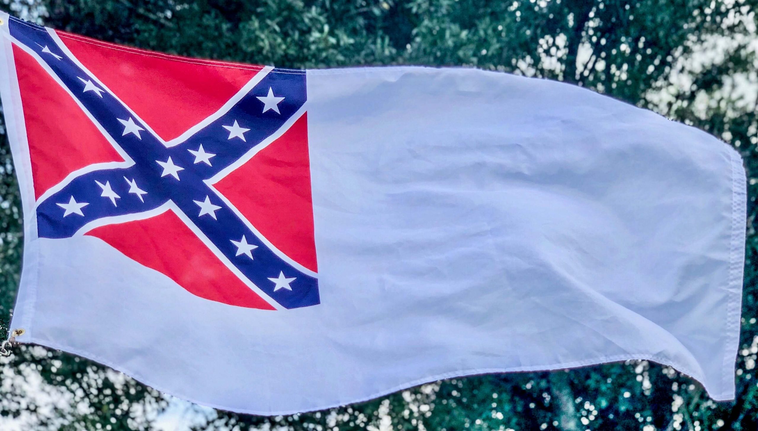 second national confederate flag flying outside in Florida