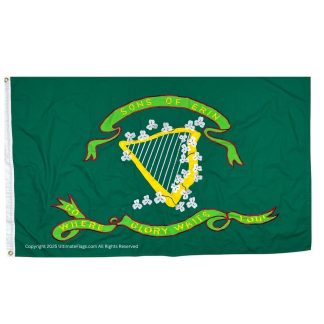sons of erin flag irish regiment 10th tennessee flags cotton sewn 3 x 5 ft.