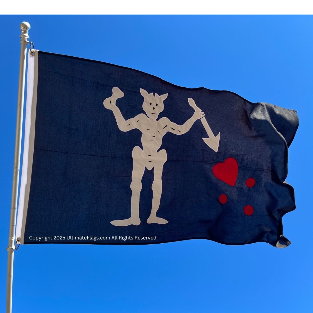 blackbeard's flag pirate blackbeard, edward teach 3x5ft. outdoor double nylon embroidered