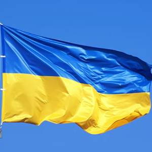 buy ukraine flag outdoor heavy duty 24/7 flag nylon