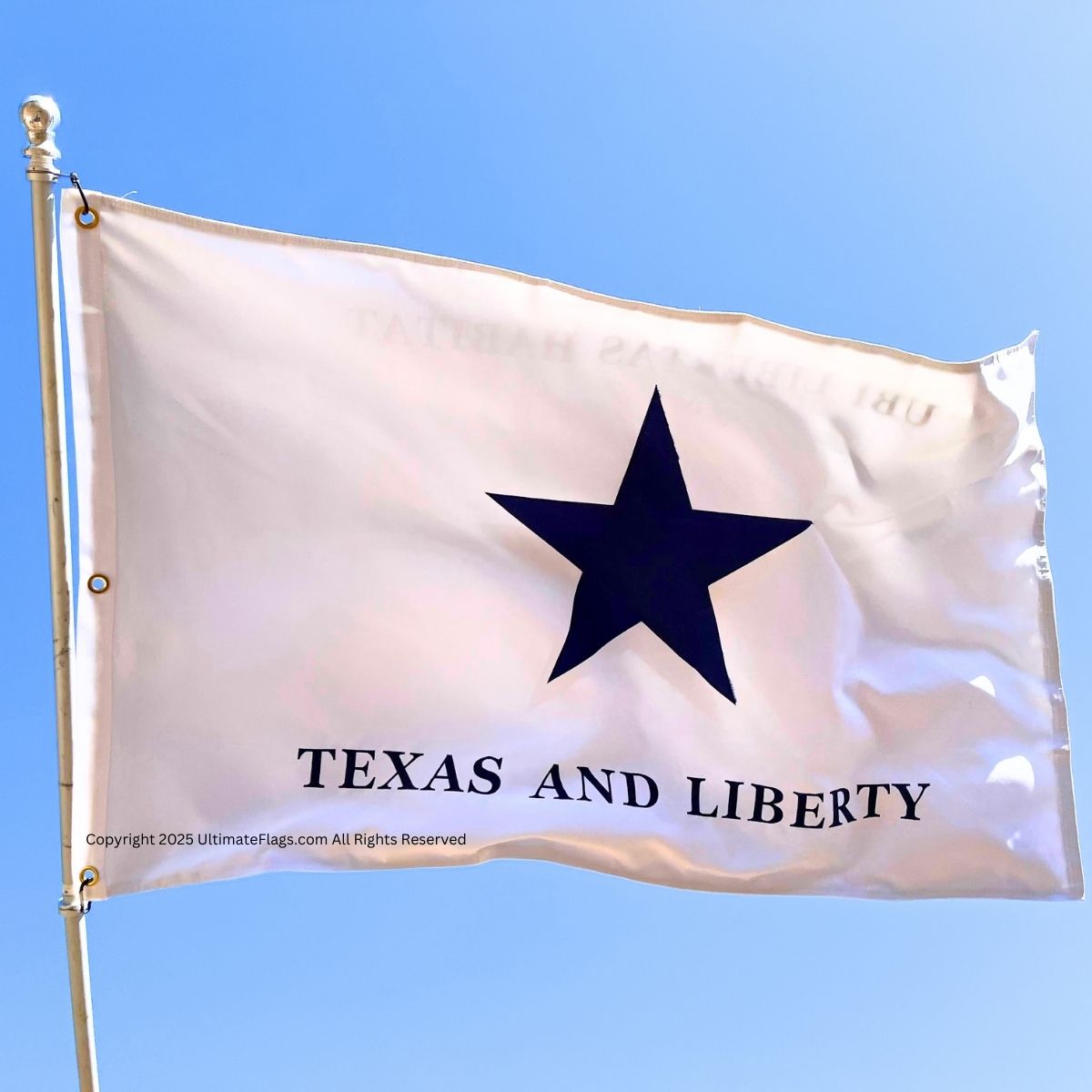 troutman flag texas & liberty double nylon embroidered, double sided 3 x 5 ft.