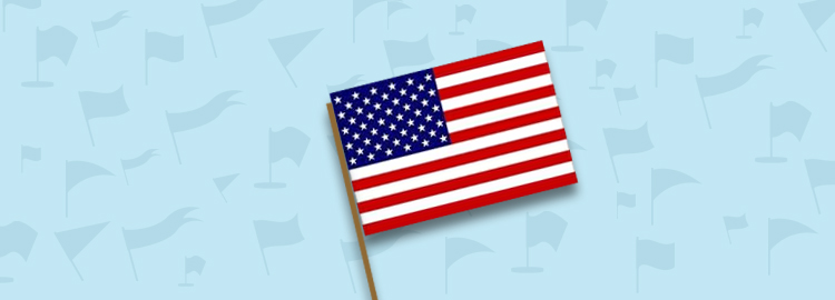 Patriotic Flag