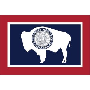 outdoor wy flags for say in nylon 3 x 5 feet