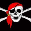 Pirate Flag with Red Hat Outdoor Nylon Printed Flag 3 x 5 ft.