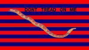 South Carolina Navy Flag, SC Naval Jack 3 X 5 ft. Standard