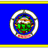 State of Minnesota Flag 3 X 5 ft. Standard