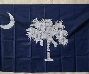 State of South Carolina Flag Nylon Embroidered 2 x 3 ft.