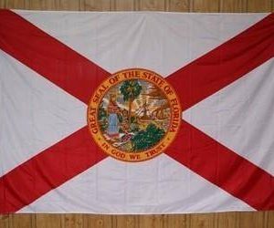 Florida Knitted Nylon 5 x 8 Flag