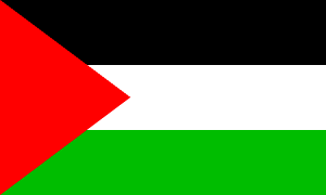 Palestine Flag 3 X 5 ft. Standard