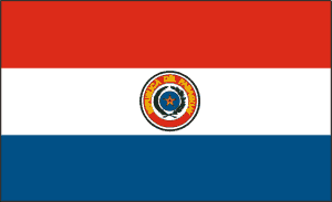 Paraguay Flag 3 X 5 ft. Nylon Sewn & Embroidered