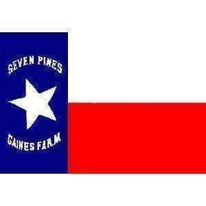 Texas Hoods Brigade Flag 3 X 5 ft. Standard