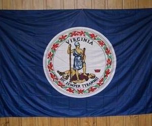 Virginia Knitted Nylon 5 x 8 Flag