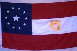 First National 11 Stars and Bars Irish Flag Harp (Standard)