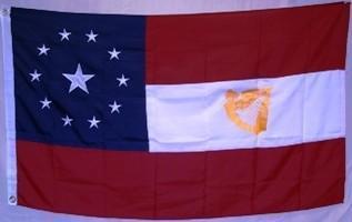 First National 11 Stars and Bars Irish Flag Harp (Standard)
