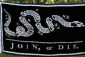 Join Or Die Flag Black Revolutionary War 3 X 5 ft. Standard