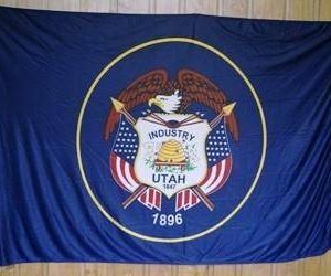 Utah Knitted Nylon 3 x 5 Flag