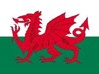 Wales Flag Nylon Embroidered 2 x 3 ft.