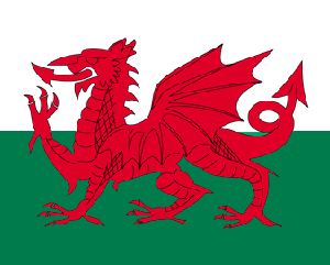 Wales Flag Nylon Embroidered 5 x 8 ft.